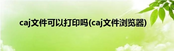 caj文件可以打印吗(caj文件浏览器)