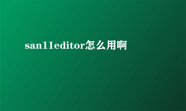san11editor怎么用啊