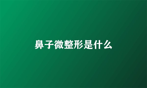 鼻子微整形是什么
