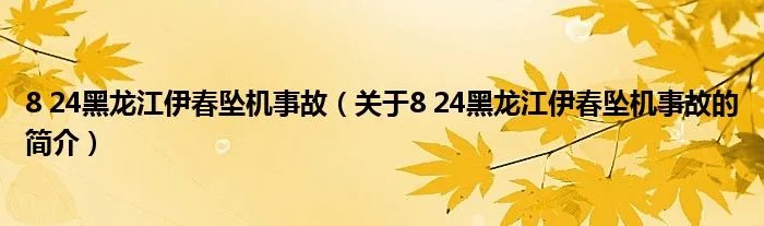 8 24黑龙江伊春坠机事故（关于8 24黑龙江伊春坠机事故的简介）