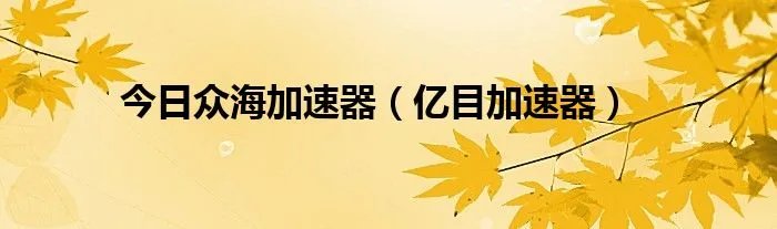 今日众海加速器（亿目加速器）