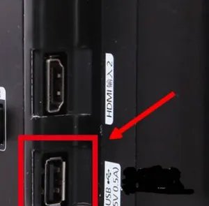 TCL液晶电视支持什么格式的视频播放？