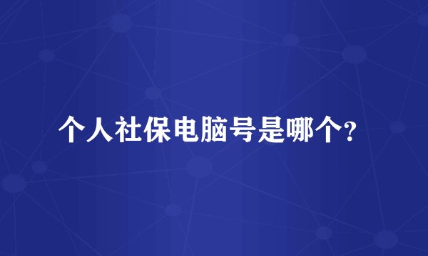 个人社保电脑号是哪个？