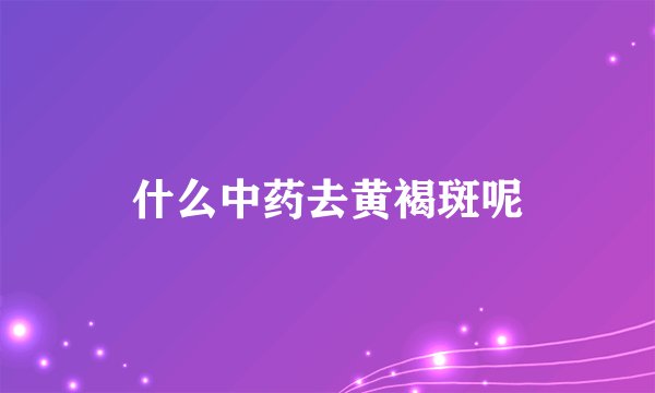 什么中药去黄褐斑呢