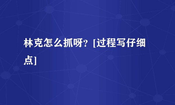 林克怎么抓呀？[过程写仔细点]