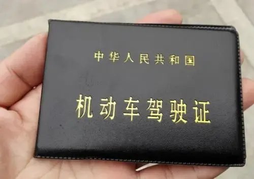 河北一男子无证驾驶被查自称是外星人，这名男子是在推卸责任吗？