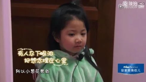 《放开我的北鼻》什么时候开播？