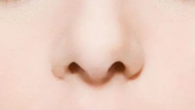 爱贝芙隆鼻的价格的介绍