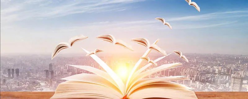 道是无情却有情的上一句