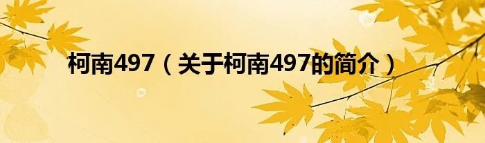 柯南497（关于柯南497的简介）