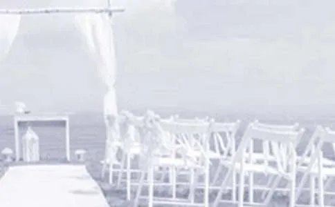 婚礼领导讲话稿