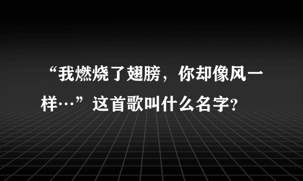 “我燃烧了翅膀，你却像风一样…”这首歌叫什么名字？