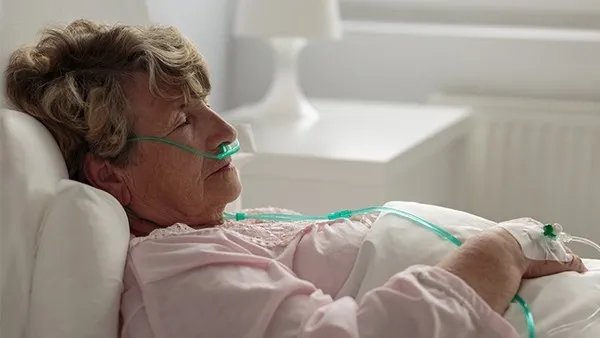 巴西松子的营养价值和功效 巴西松子营养价值有哪些