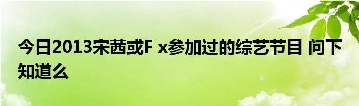 今日2013宋茜或F x参加过的综艺节目 问下 知道么