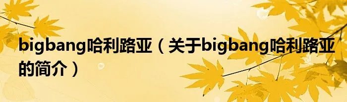 bigbang哈利路亚（关于bigbang哈利路亚的简介）