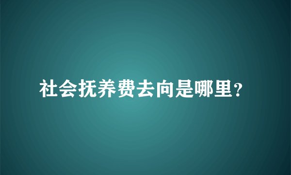 社会抚养费去向是哪里？