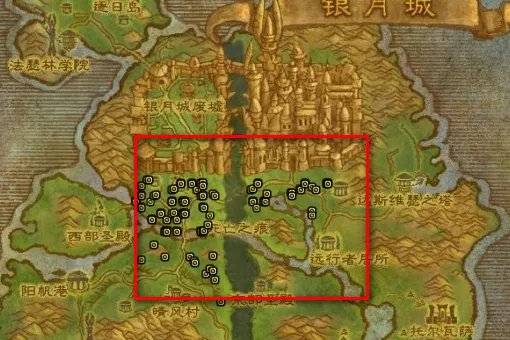 魔兽世界小蛋有什么用