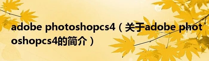 adobe photoshopcs4（关于adobe photoshopcs4的简介）