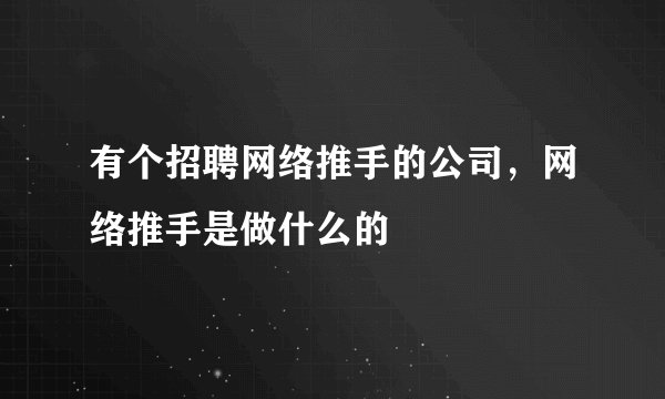 有个招聘网络推手的公司，网络推手是做什么的