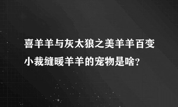 喜羊羊与灰太狼之美羊羊百变小裁缝暖羊羊的宠物是啥？