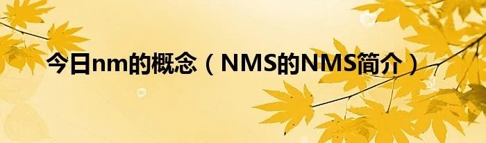 今日nm的概念（NMS的NMS简介）