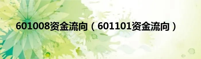 601008资金流向（601101资金流向）