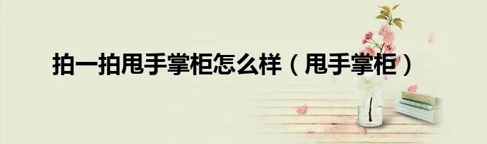 拍一拍甩手掌柜怎么样（甩手掌柜）