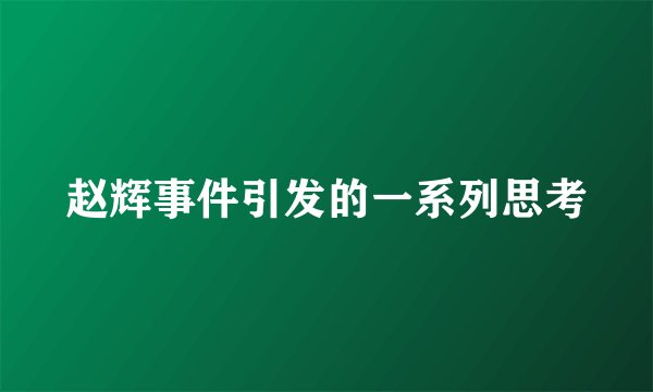 赵辉事件引发的一系列思考