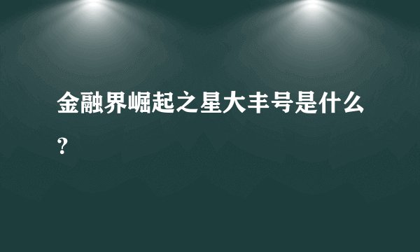 金融界崛起之星大丰号是什么？