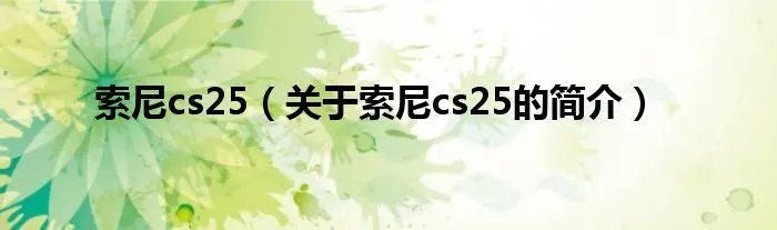 索尼cs25(关于索尼cs25的简介)