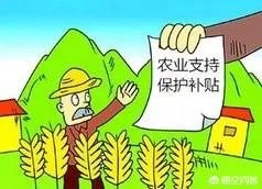 农村补贴项目有哪些？
