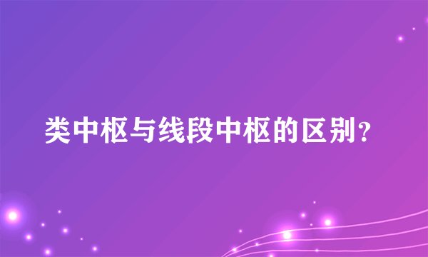 类中枢与线段中枢的区别？