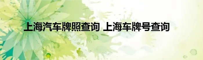 上海汽车牌照查询 上海车牌号查询