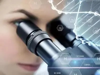 胚胎移植-【高中生物笔记】体外受精与早期胚胎培养