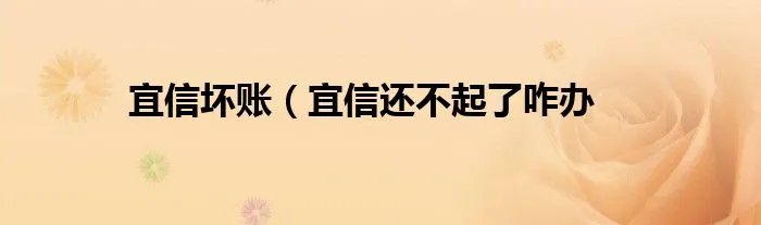 宜信坏账（宜信还不起了咋办