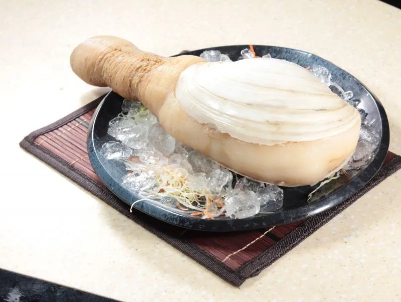 河蚌的功效和作用