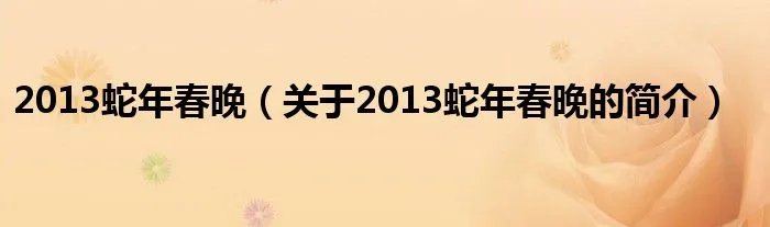 2013蛇年春晚（关于2013蛇年春晚的简介）