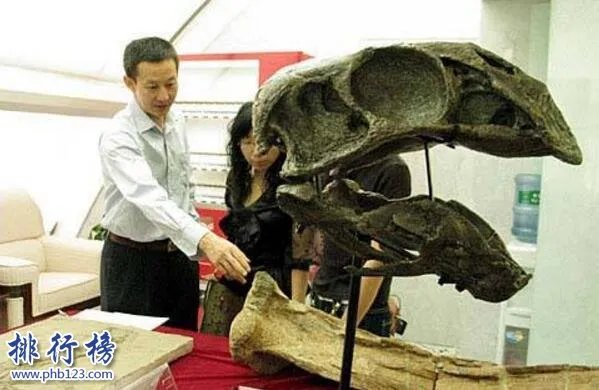 世界上最大的恐龙化石：泰坦巨龙身长40米重77吨(相当于14头大象)