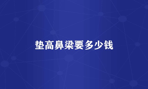 垫高鼻梁要多少钱