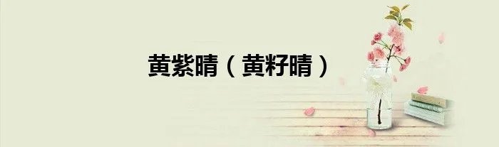 黄紫晴（黄籽晴）