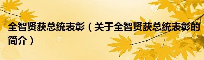 全智贤获总统表彰（关于全智贤获总统表彰的简介）