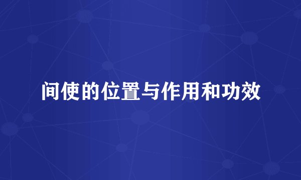 间使的位置与作用和功效