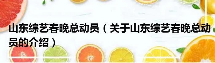 山东综艺春晚总动员（关于山东综艺春晚总动员的介绍）