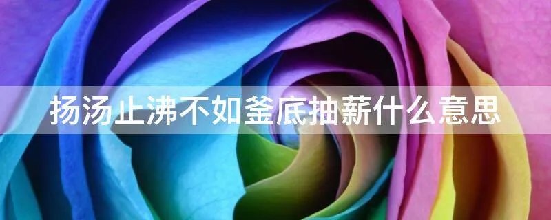 扬汤止沸不如釜底抽薪什么意思