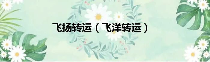 飞扬转运（飞洋转运）