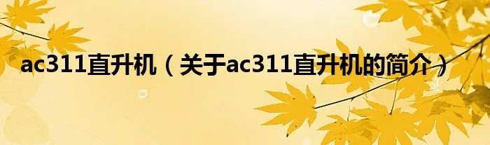 ac311直升机（关于ac311直升机的简介）