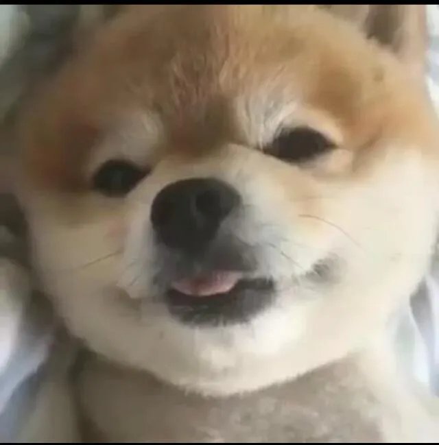 “架上丝瓜酷如吊”，难倒苏东坡的上联，谁能对出下联？