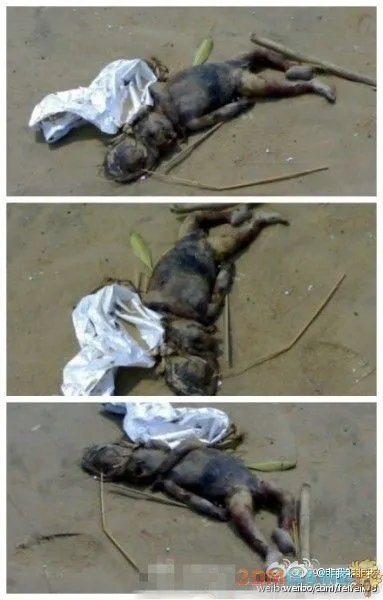 怪兽出没 揭阳市惠来县仙魇镇水库抓到一只水鬼