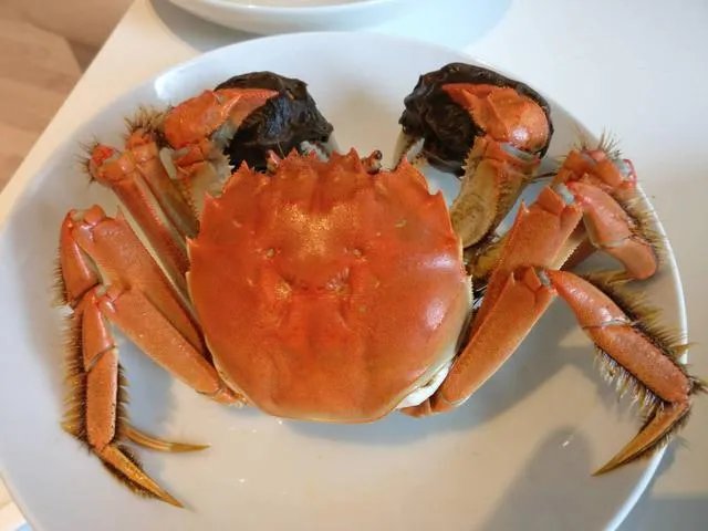 德国有大闸蟹吃吗？