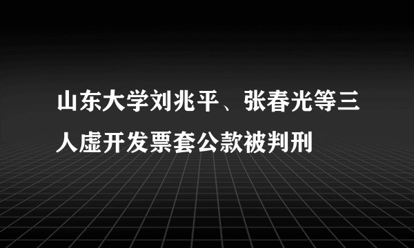山东大学刘兆平、张春光等三人虚开发票套公款被判刑